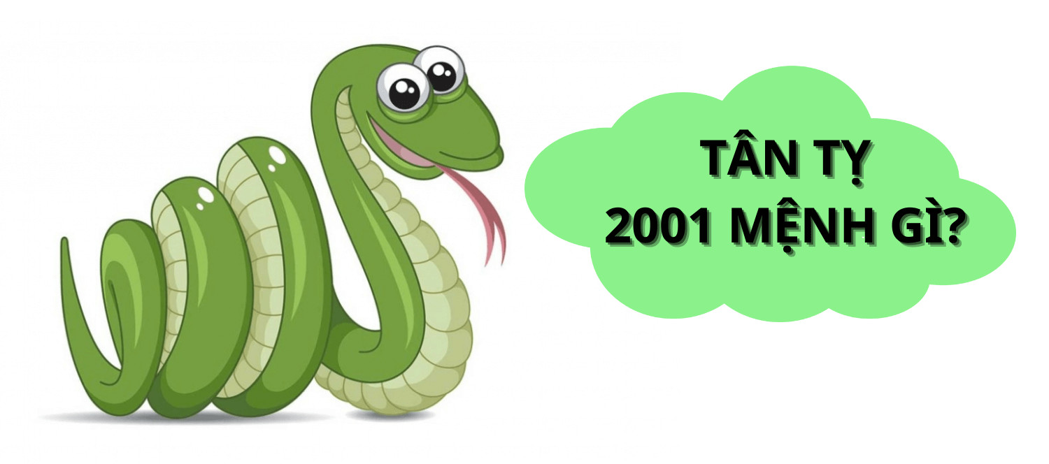 Tổng quan về tuổi Tỵ 2001 mệnh gì