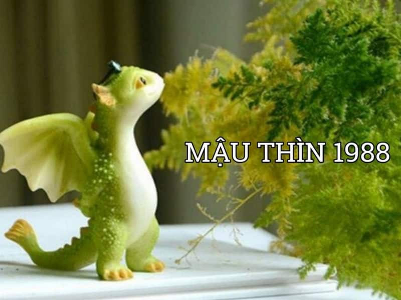 Tổng quan về vận trình tuổi Mậu Thìn nam mạng trong năm 2026 Bính Ngọ