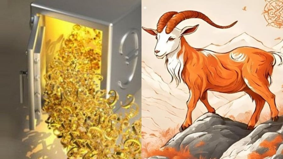 Trong tử vi ngày 3/7/2025, tuổi Mùi sẽ đón nhận vận may ổn định và bình an