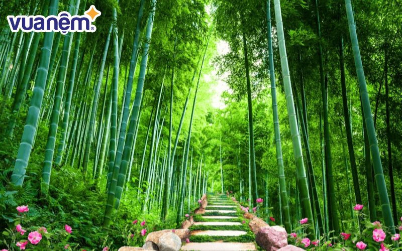 Trúc mảnh mai nhưng rất dẻo dai và mạnh mẽ, biểu trưng cho ý chí kiên cường của người tên Diệp