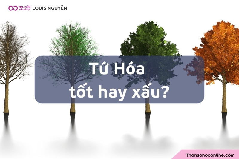 Tứ Hóa trong tử vi tốt hay xấu: Cái nhìn toàn diện