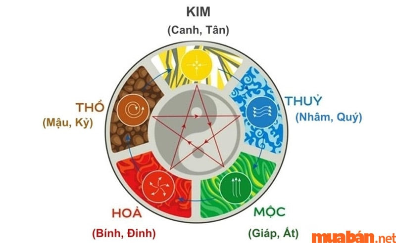 Tử vi 2003 năm 2024 nữ mạng xét theo thiên can