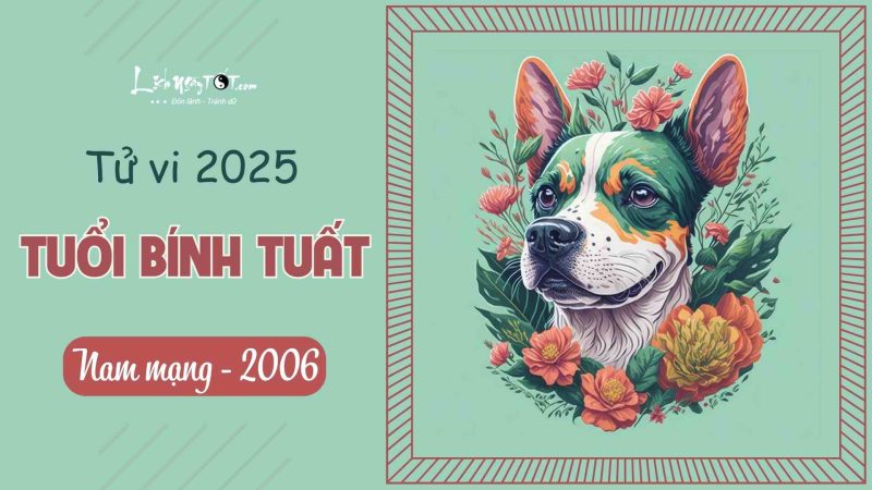 tử vi 2006 nam mạng 2025
