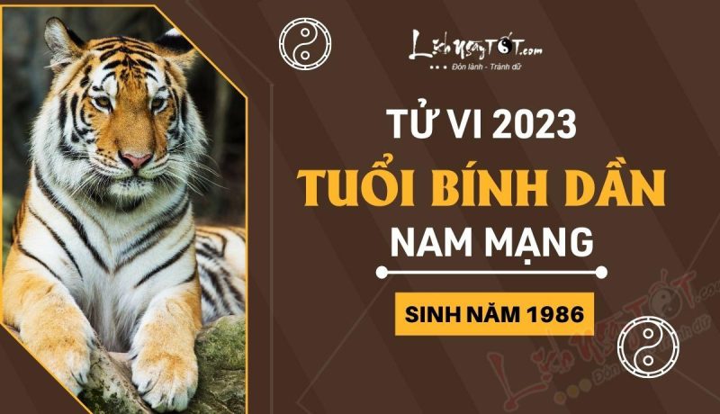 Tử vi 2023 tuổi Bính Dần nam mạng