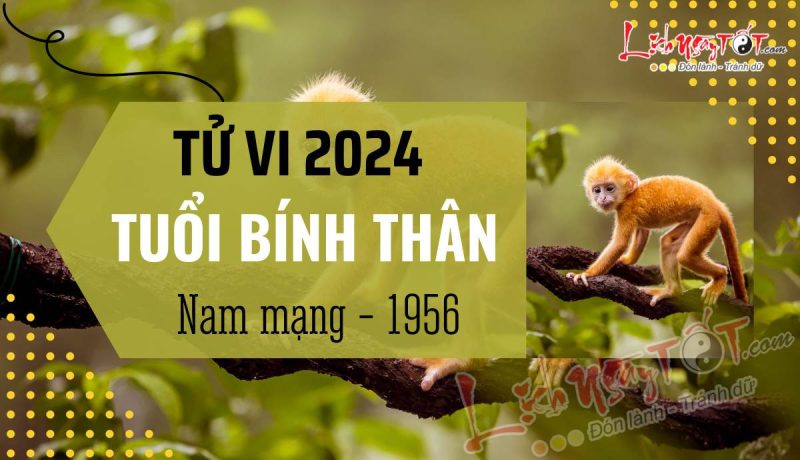 Tử vi 2024 tuổi Bính Thân nam mạng 1956 chi tiết