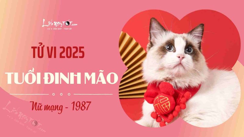 Tử vi 2025 Đinh Mão nữ mạng 1987 chi tiết vận hạn