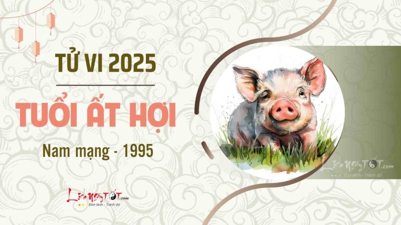 Tử vi 2025 tuổi Ất Hợi 1995 nam mạng chi tiết vận hạn
