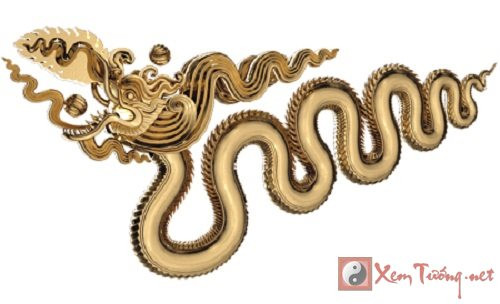 Tử vi chi tiết giờ sinh cho người tuổi Rồng