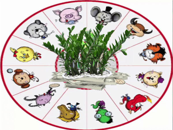 Tử vi kênh mệnh tài lộc mang đến cuộc sống thịnh vượng và phúc khí
