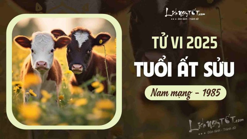 tử vi nam mạng 1985 năm 2025