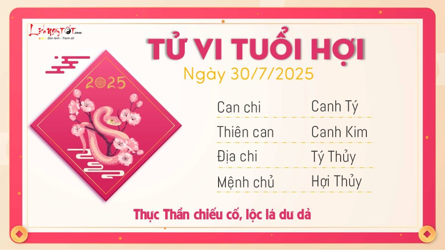 Tử vi ngày 30 tháng 7 năm 2025 của tuổi Hợi