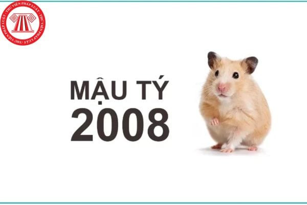 Tử vi nữ 2008 tuổi Mậu Tý và vận mệnh cuộc đời