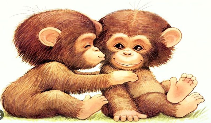 Tử vi nữ mạng Mậu Thân 1968 năm 2025