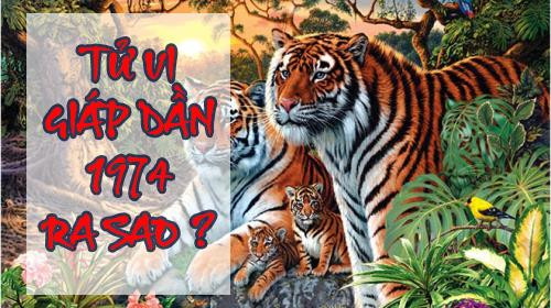 Tử vi phong thủy cho tuổi Giáp Dần 1974 khi xây nhà