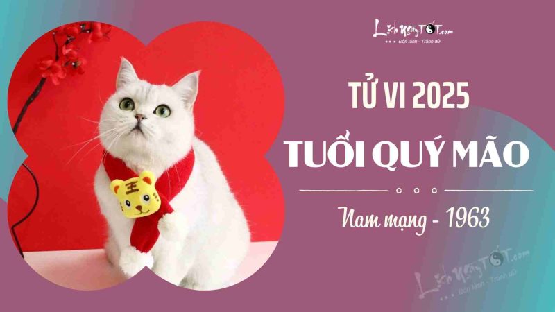 Tử vi Quý Mão nam mạng 2025