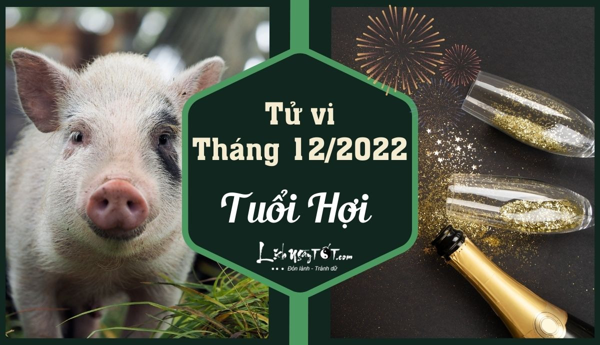 Tử vi tháng 12 âm lịch tuổi Hợi