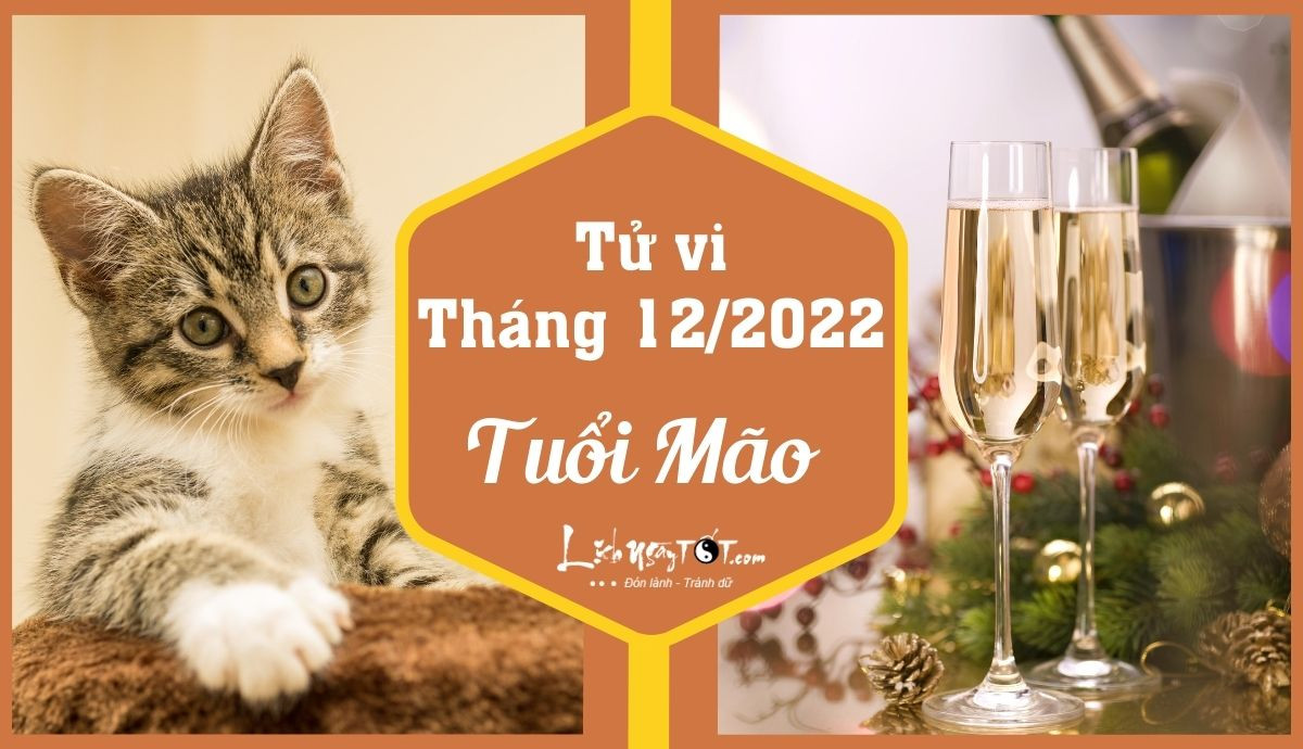 Tử vi tháng 12 âm lịch tuổi Mão