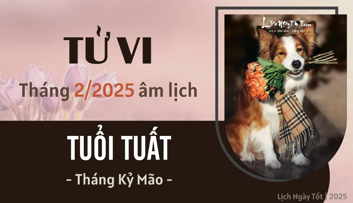 Tử vi tháng 2/2025 tuổi Tuất âm lịch