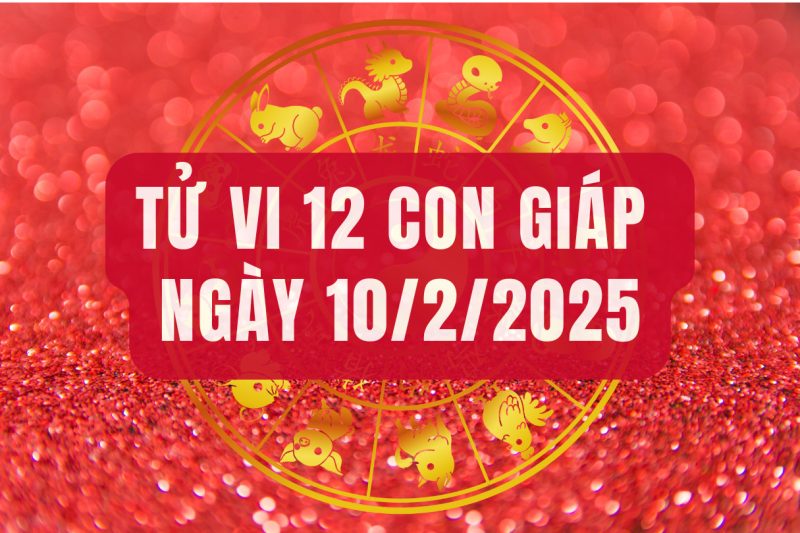 Tử vi tổng quan 12 con giáp