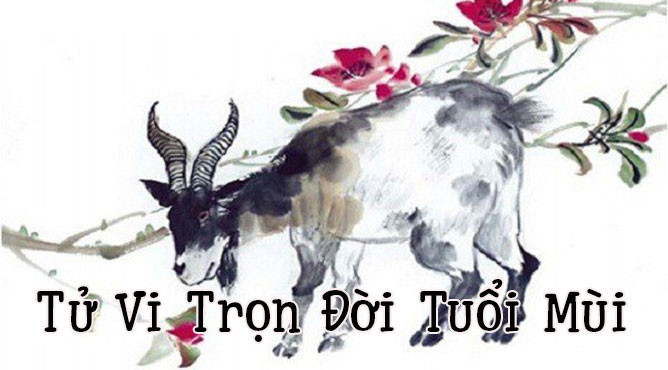 Tử vi trọn đời tuổi Mùi và ảnh hưởng đến vận mệnh