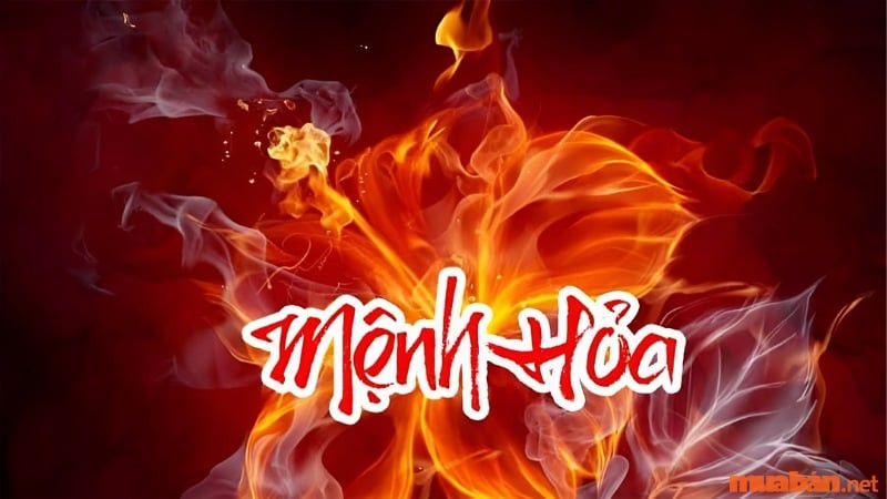 Tử vi tuổi 2016 nữ mạng - Tổng quan về tuổi Bính Thân