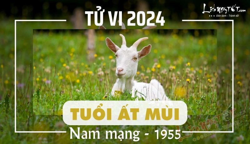 Tử vi tuổi Ất Mùi 1955 nam mạng 2024 chi tiết