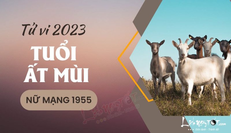 Tử vi tuổi Ất Mùi 1955 nữ mạng năm 2023 - Luận giải vận hạn chi tiết