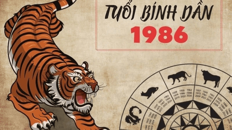 Tử vi tuổi Bính Dần năm 2026 nữ mạng có vận trình trung bình với những cơ hội phát triển riêng nhưng cũng có nhiều thử thách