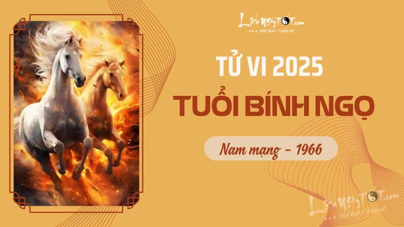 Tử vi tuổi Bính Ngọ nam mạng năm 2025