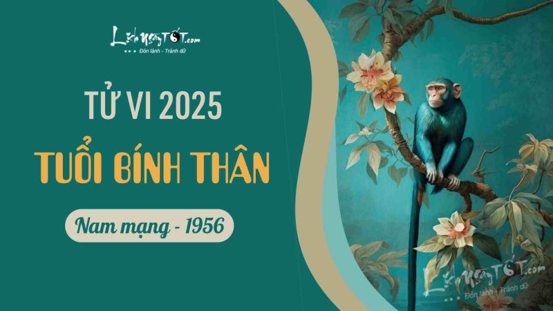 Tử vi tuổi Bính Thân 1956 nam mạng năm 2025