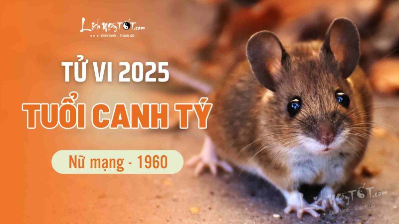 Tử vi tuổi Canh Tý 1960 nữ mạng năm 2025: Hình ảnh người phụ nữ chiêm nghiệm cuộc đời
