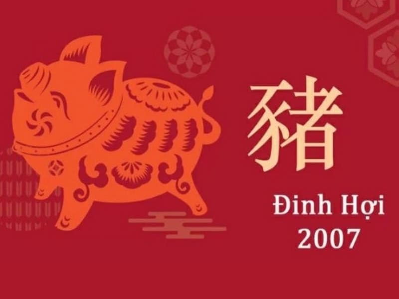Tử vi tuổi Đinh Hợi năm 2025 nữ mạng: Vận trình và định hướng