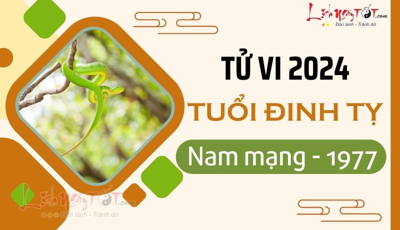 Tử vi tuổi Đinh Tỵ 1977 nam mạng năm 2024 chi tiết vận trình