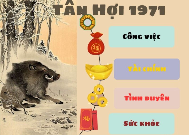 Tử vi tuổi Hợi 1971: Nữ mạng Tân Hợi cần cẩn trọng trong hóa giải vận hạn