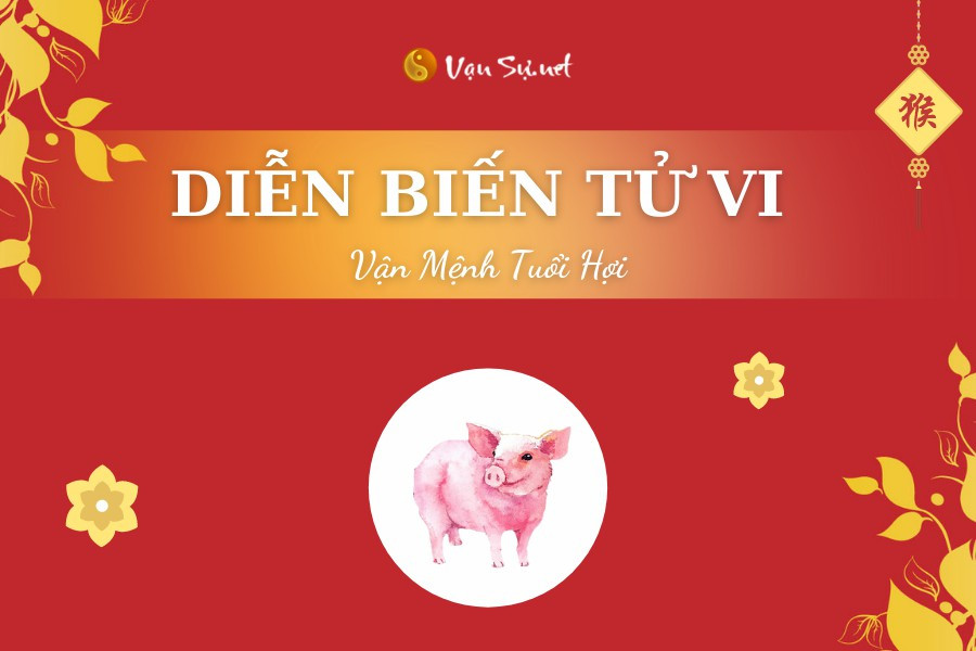 Tử vi tuổi Hợi năm 2025