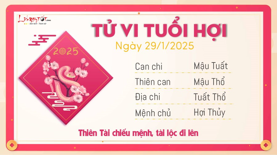 Tử vi tuổi Hợi ngày 29 tháng 1 năm 2025, hình ảnh Heo may mắn và sung túc