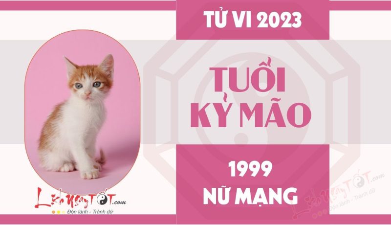 Tử vi tuổi Kỷ Mão 1999 nữ mạng năm 2023: Nắm bắt vận hạn