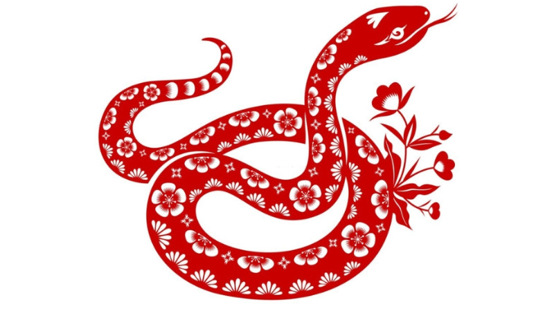 Tử vi tuổi Kỷ Tỵ 1989 nữ mạng tổng quan