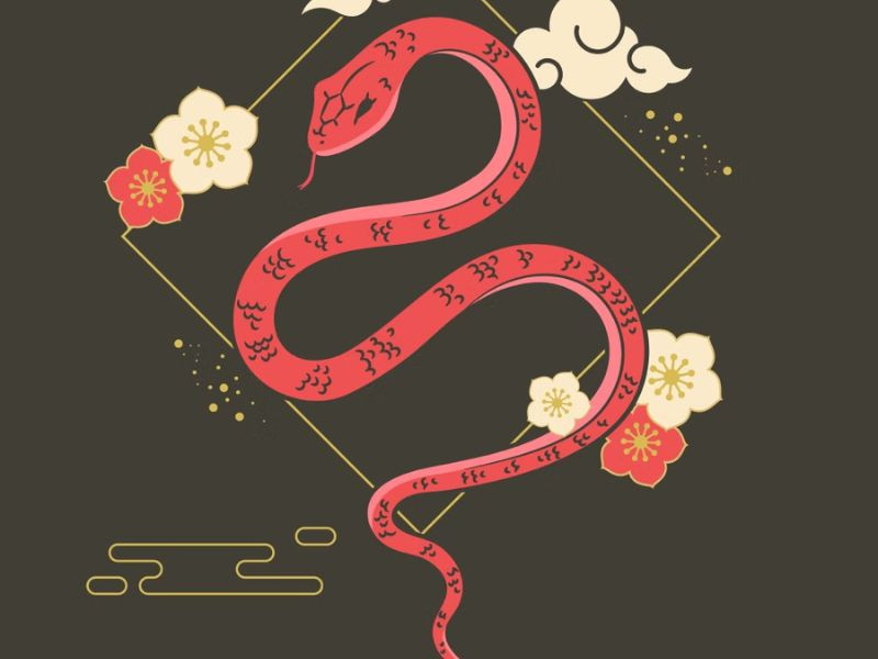Tử vi tuổi Kỷ Tỵ 1989