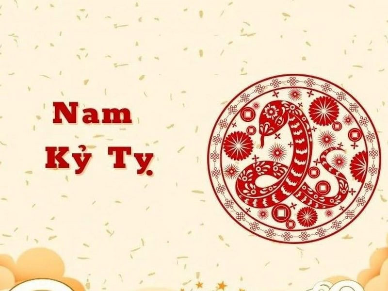 tử vi tuổi Kỷ Tỵ năm 2026 nam mạng, vận mệnh nam 1989