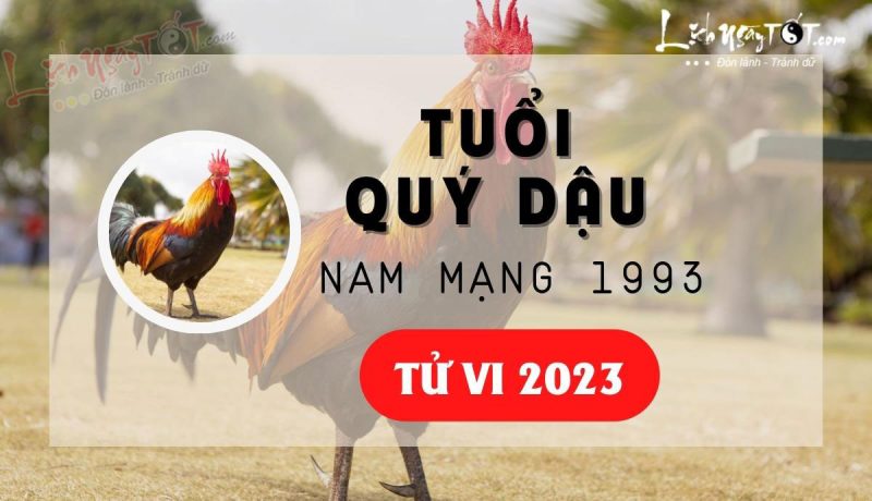 Tử vi tuổi Quý Dậu 1993 nam mạng năm 2023: Bảng tổng quan vận trình