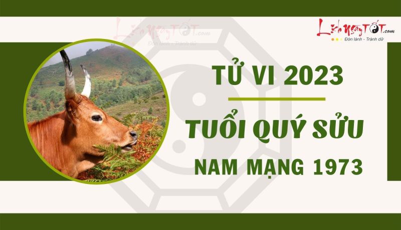 Tử vi tuổi Quý Sửu 1973 nam mạng: Tổng quan vận hạn năm 2023