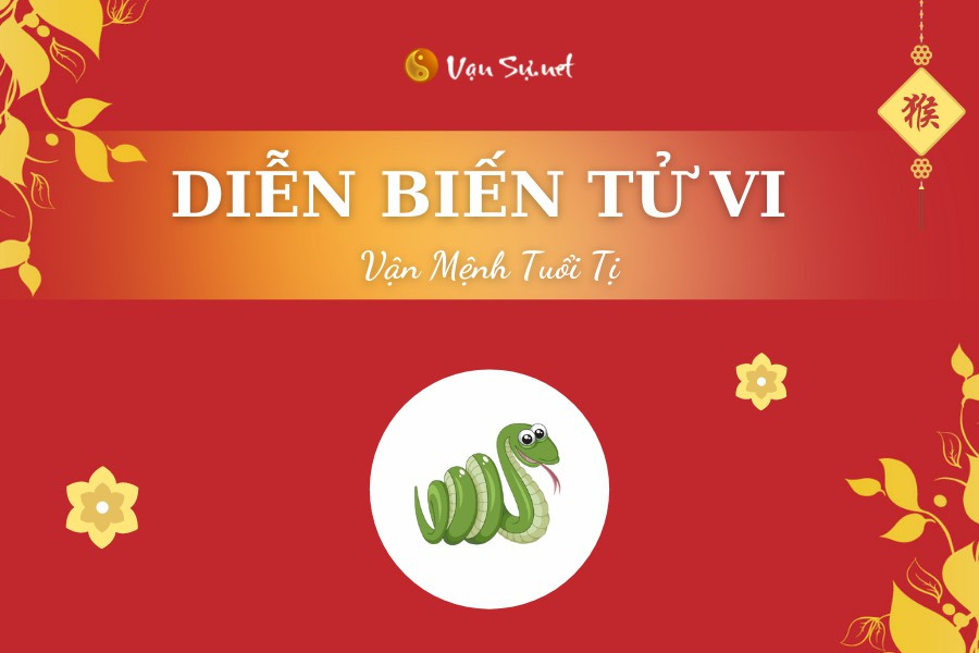Tử vi tuổi Tý năm 2025