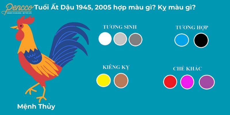 Tuổi Ất Dậu 2005 hợp màu đen, xanh nước biển, trắng, xám, vàng nhạt trong năm 2025