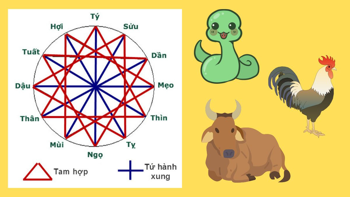 Tuổi Ất Sửu hợp Tỵ, Dậu, Sửu