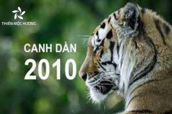 tuổi canh dần 2010 hợp màu gì