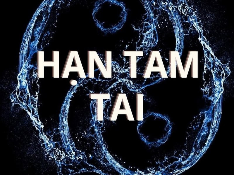 Tuổi Đinh Mùi 2025 nam mạng có phạm Tam Tai