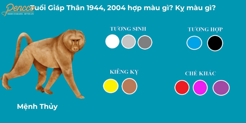 Tuổi Giáp Thân 2004 hợp màu gì trong năm 2025