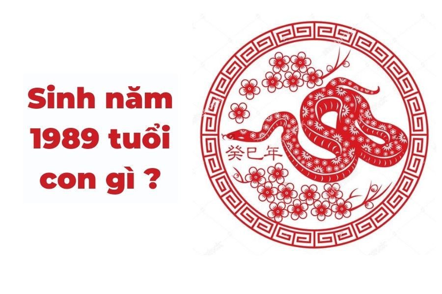 Tuổi Kỷ Tỵ 1989 cầm tinh con Rắn được xác định từ Thiên Can Kỷ và Địa Chi Tỵ