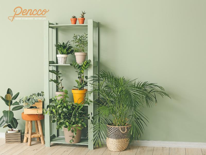 Tuổi Thìn mệnh Mộc nên sơn nhà màu xanh lá